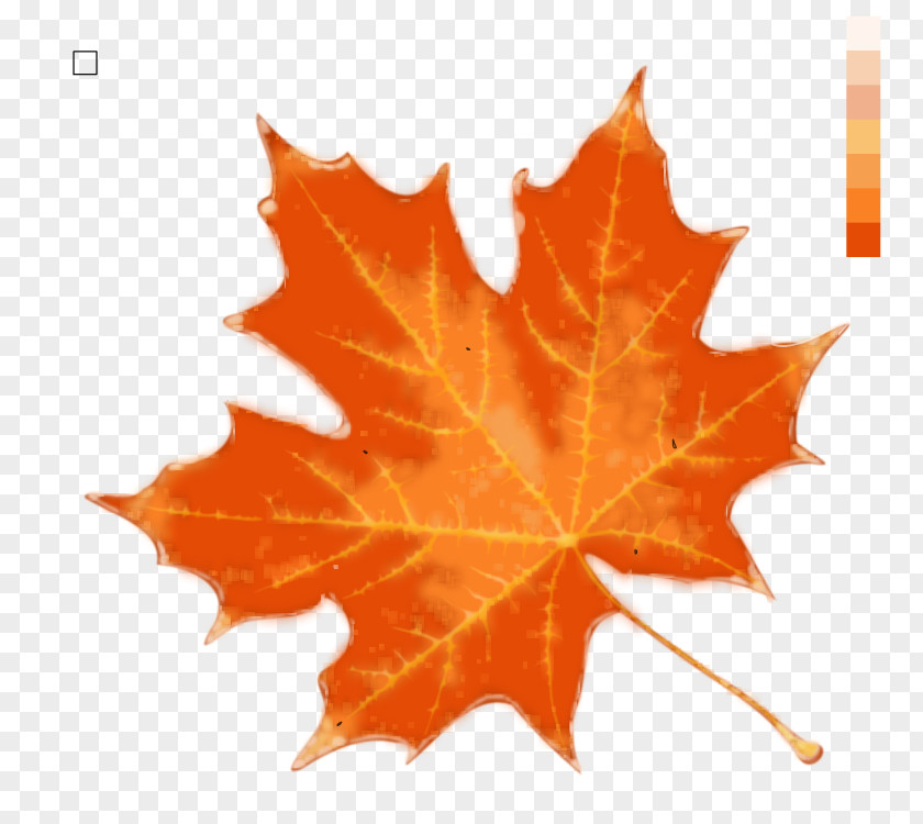 Autum Leaves Stock Photography Maple Leaf Royalty-free IStock Autumn Color PNG
