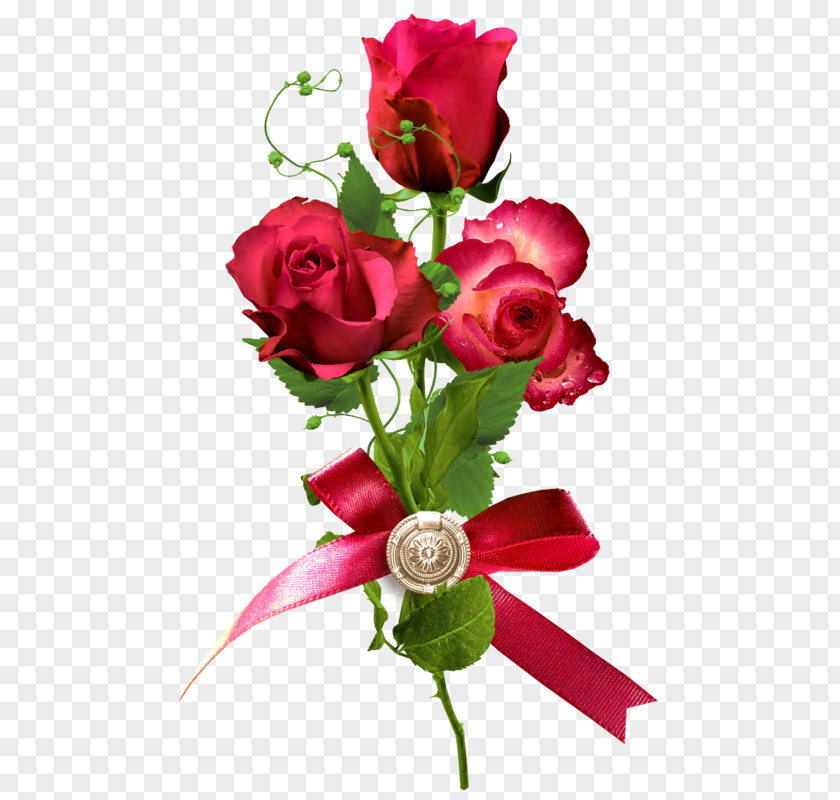 Bow Decoration Red Roses Rose PNG