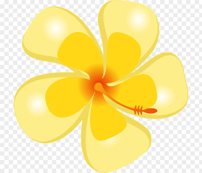 Flower Clip Art PNG