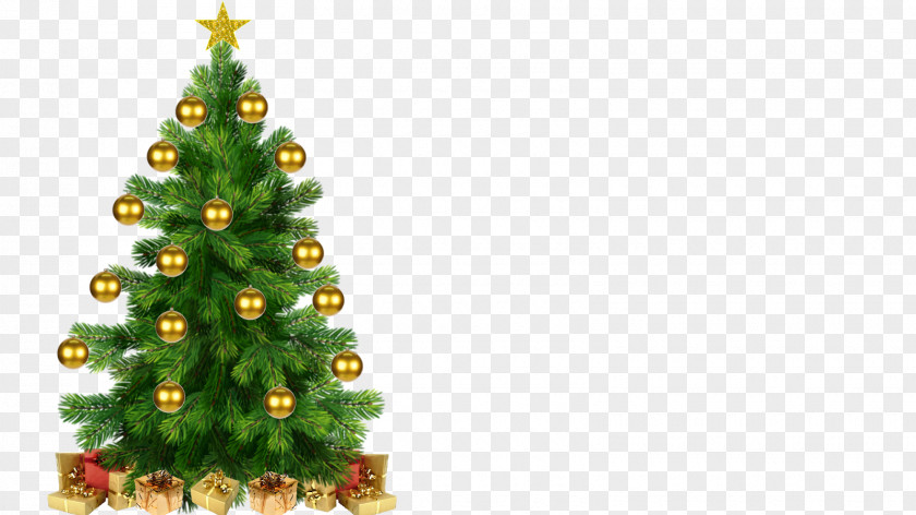 Lucky Christmas Tree Decoration Ornament PNG