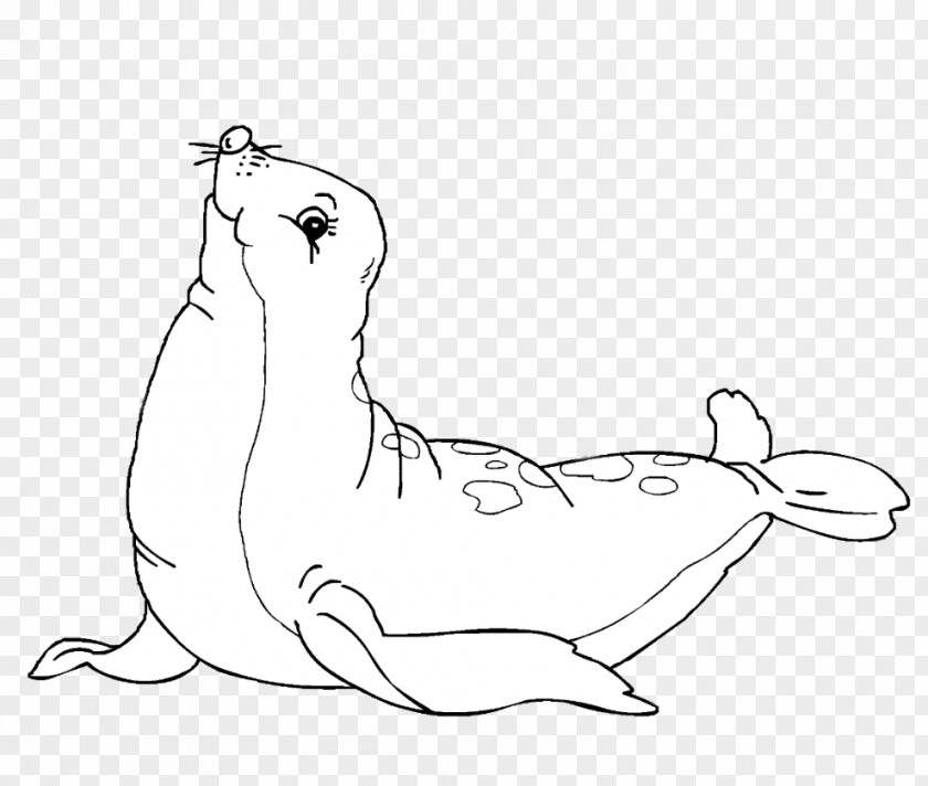 Nature Sea Animals Seals Earless Seal Coloring Book Drawing Harbor PNG