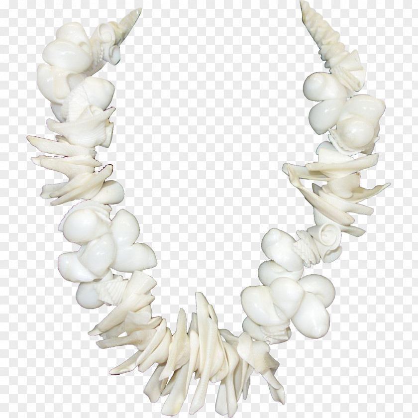 Seashell Body Jewellery Necklace Pearl Jewelry Design PNG