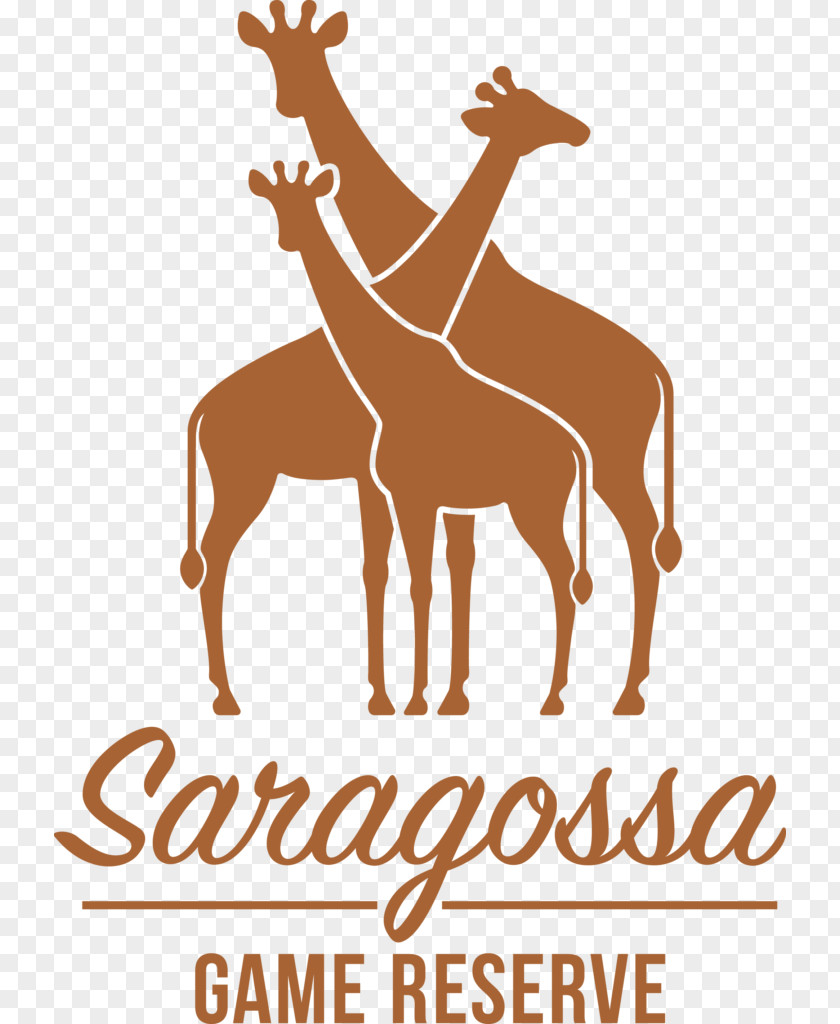 Strandpaviljoen Safari Lodge Welgevonden Game Reserve Sabi Nature Zaragoza PNG