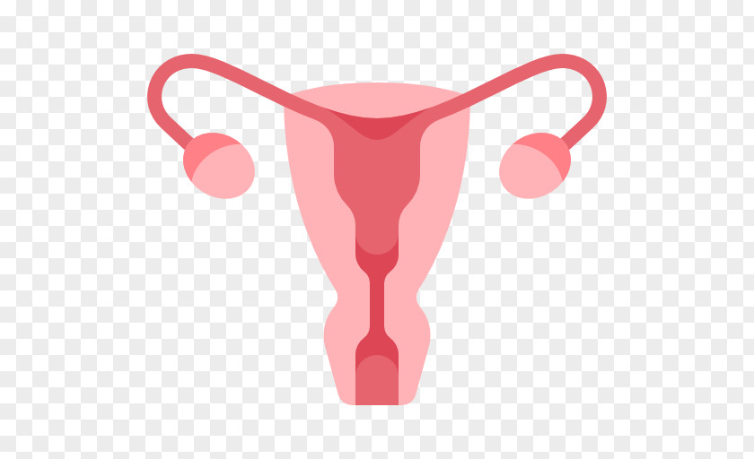 Utero Uterus Uterine Fibroid Caesarean Section PNG