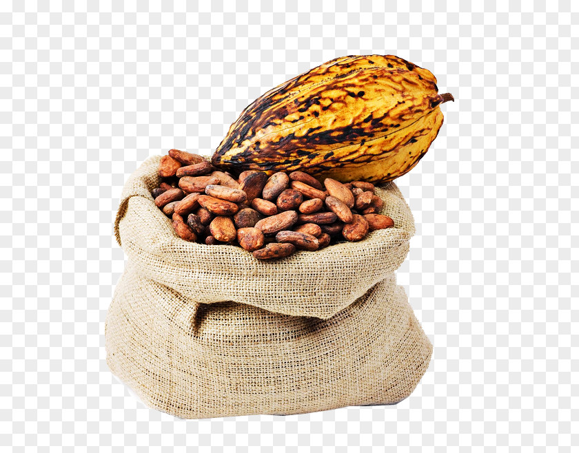 Almond Criollo Cocoa Bean Trinitario Solids Chocolate PNG