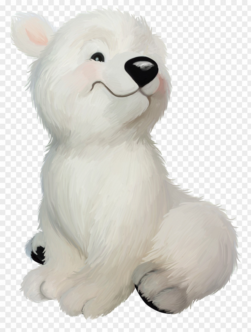 Cartoon Polar Bear Samoyed Dog PNG