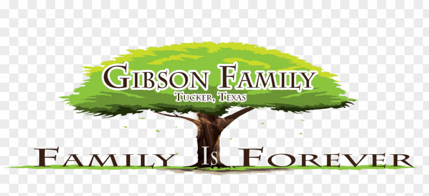 Family Reunion Logo Brand Tree Font PNG