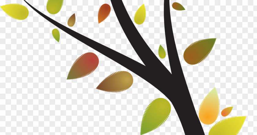Tree Abstraction PNG