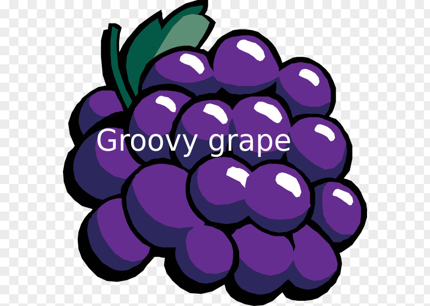 Wine Common Grape Vine Concord Sultana PNG