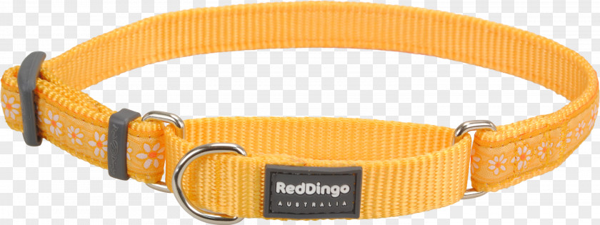 Dog Dingo Collar Martingale PNG