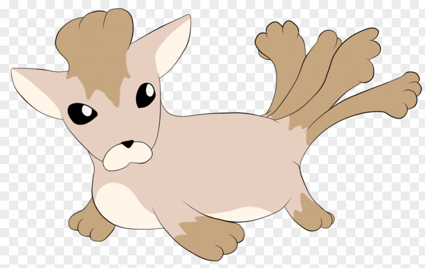 Dog Whiskers Cat Reindeer Macropodidae PNG