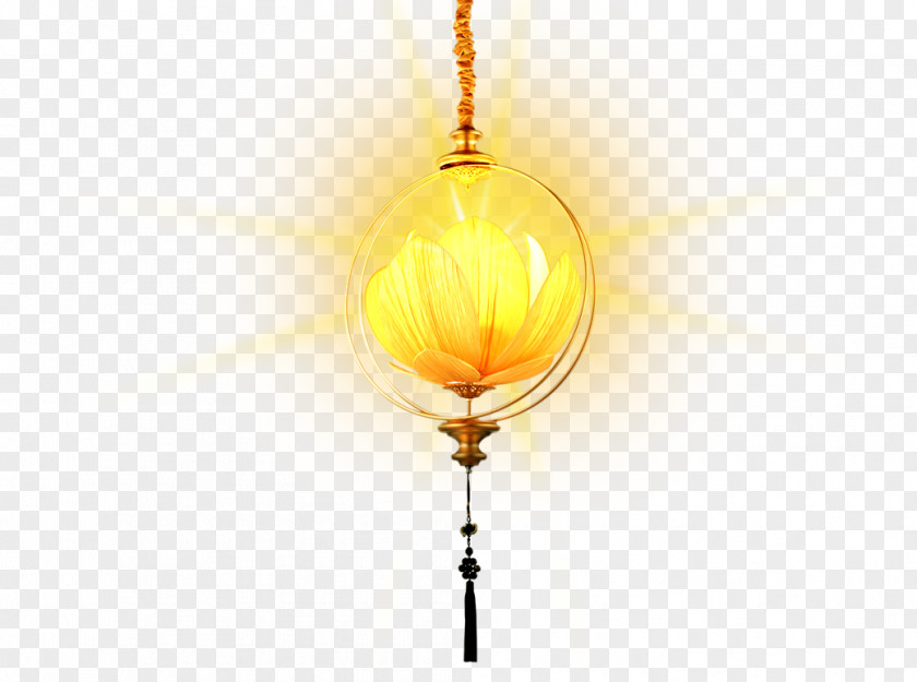 Flower Bulb Yellow Sphere PNG