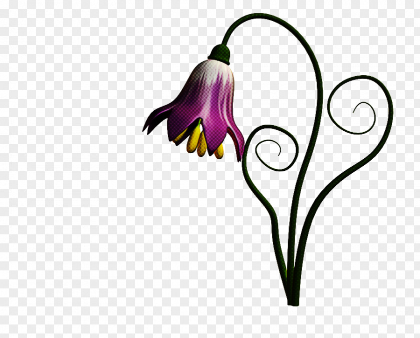 Flower Violet Plant Purple Petal PNG