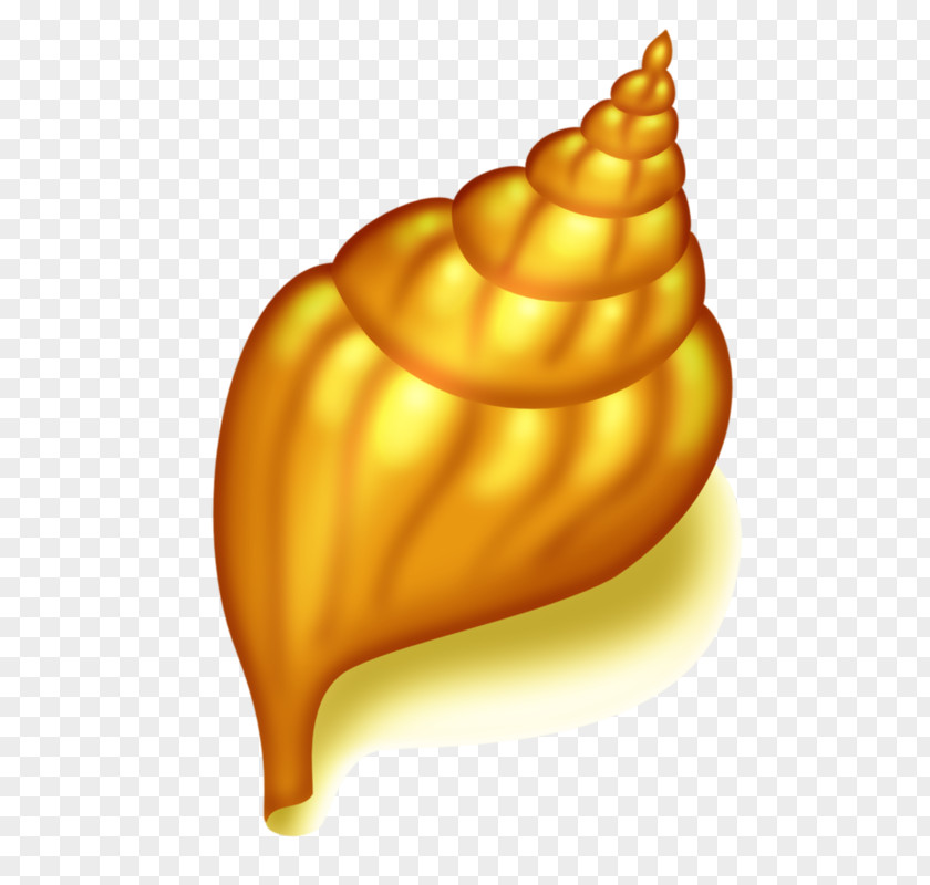 Golden Conch Seashell Clip Art PNG