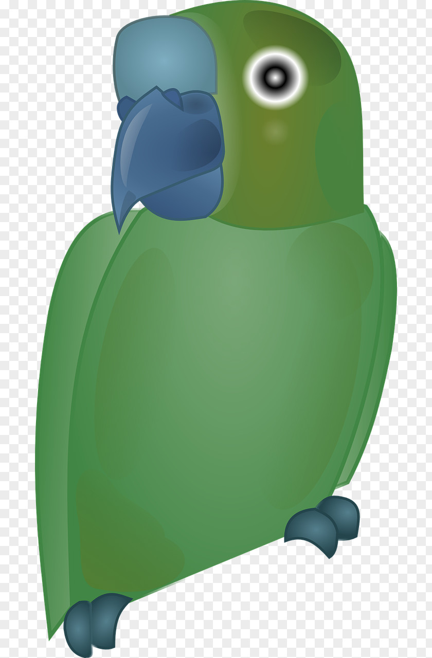 Green Parrot Bird Penguin Clip Art PNG