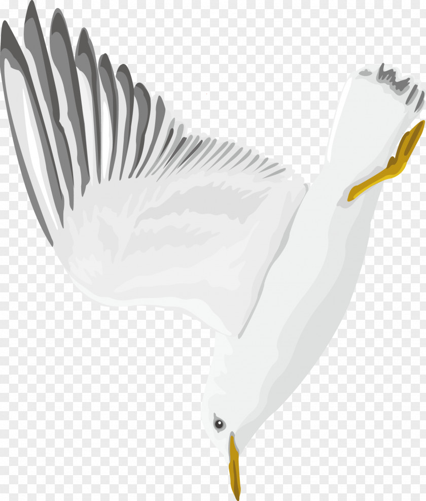 Wild Goose Decoration Design Vector Swan PNG