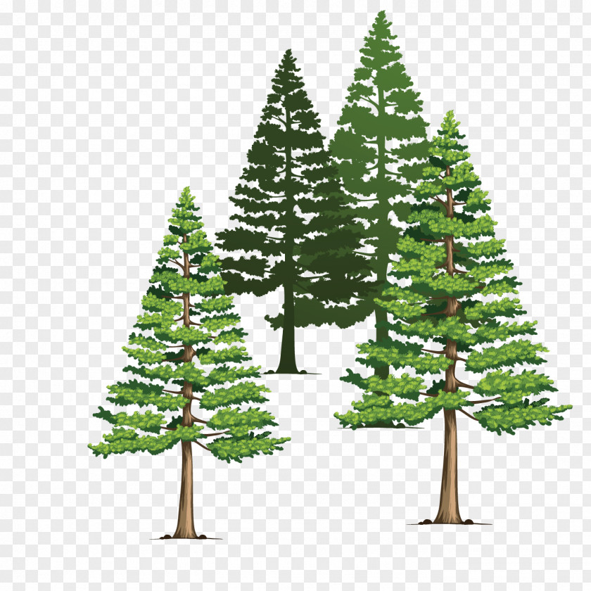 Hand-drawn Illustration Pine Scene Vector Material Euclidean PNG