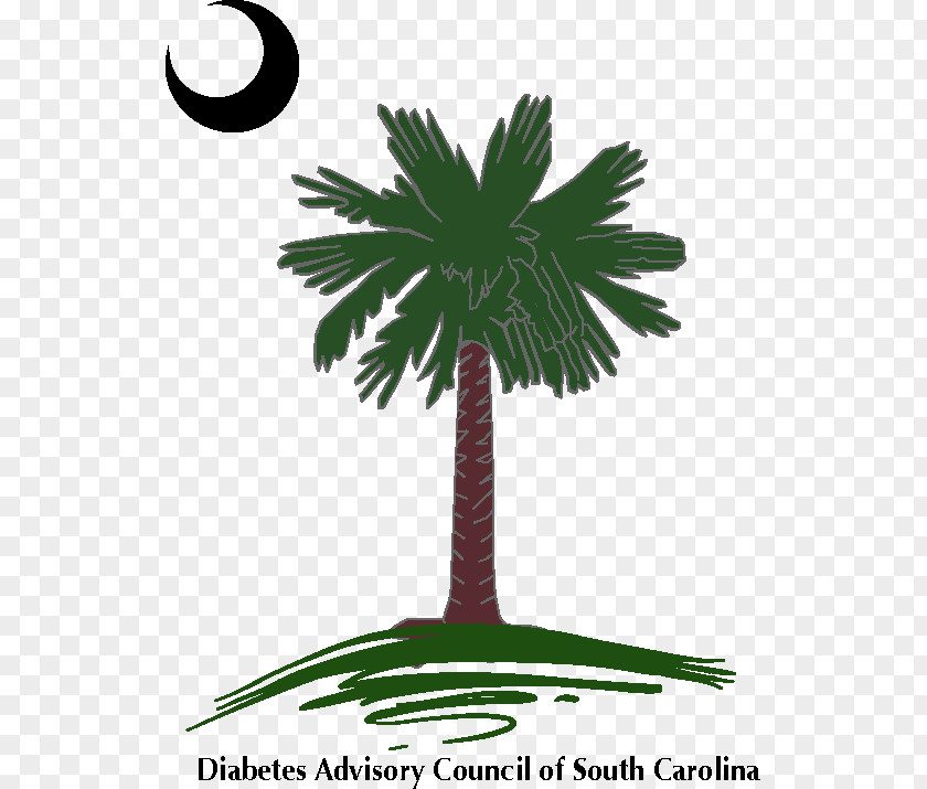 Joshua Tree Tour 2017 Sabal Palm Arecaceae Flag Of South Carolina Decal PNG