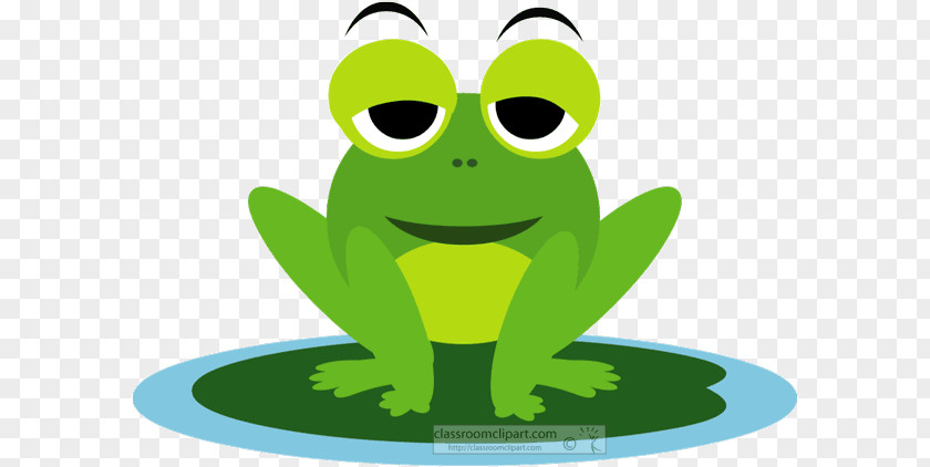 Plant Shrub Frog Pepe The PNG