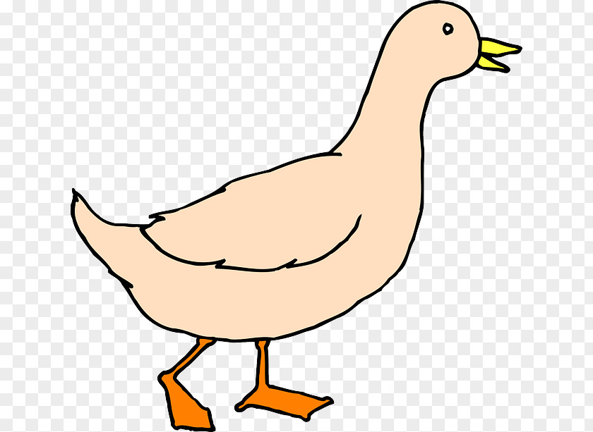 Simple Bird Duck Goose Mallard Clip Art PNG