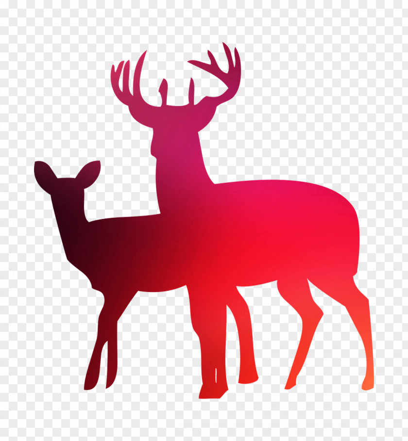 White-tailed Deer Wall Decal Sticker PNG