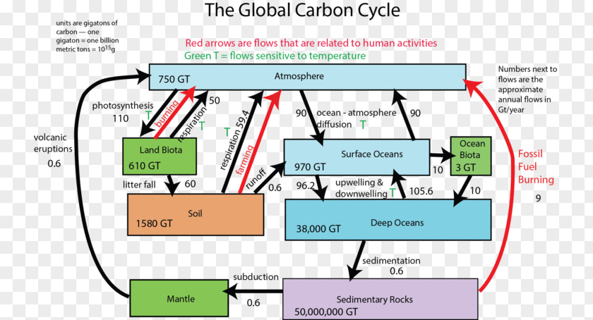 Carbon Cycle Geosphere Diagram Process PNG