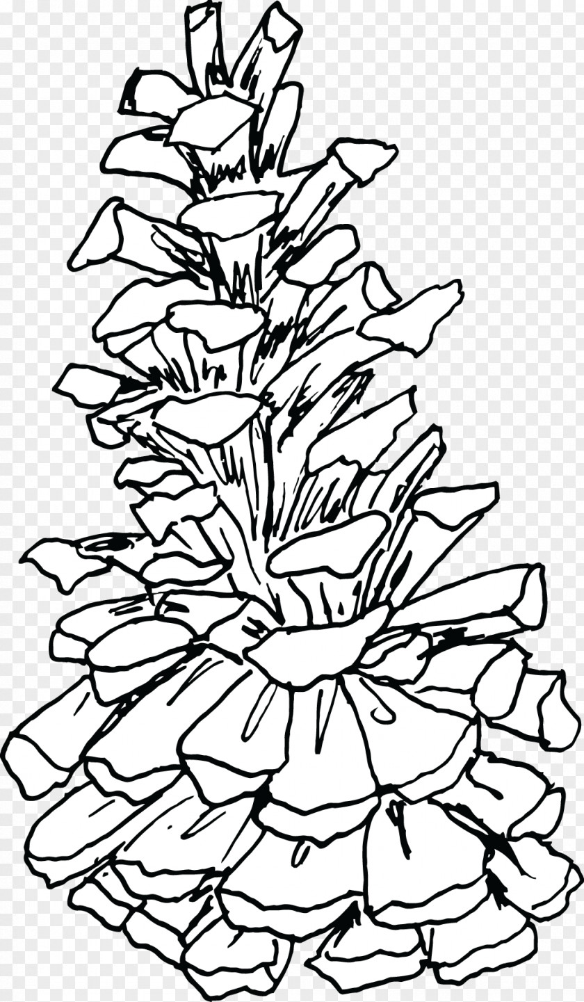 Christmas Tree Line Art Plant Stem Leaf PNG