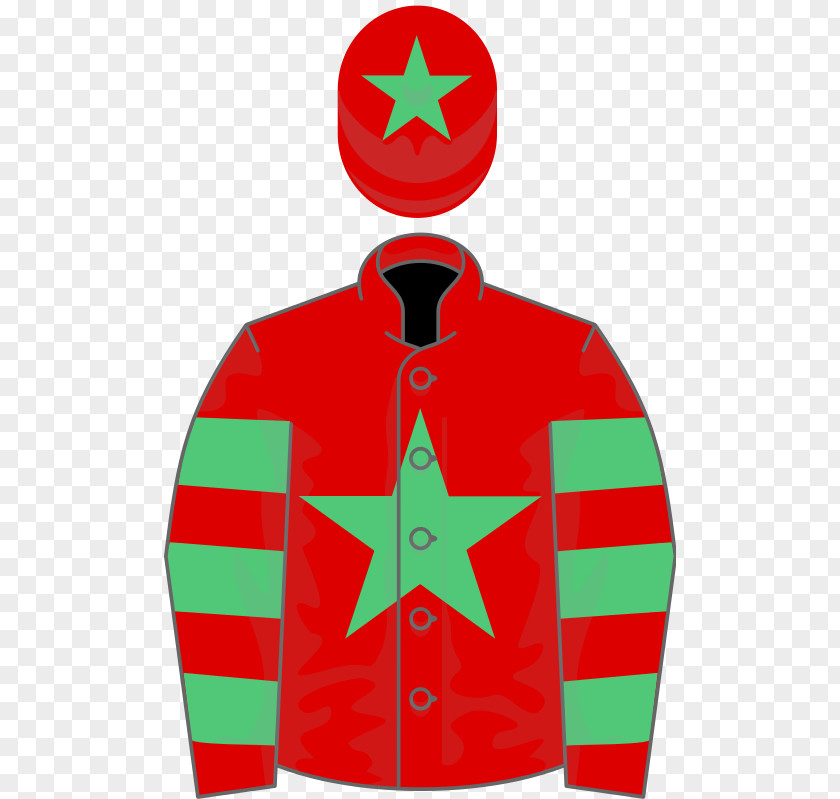 Grand National 2018 Horse 2016 Tiger Roll 2019 PNG