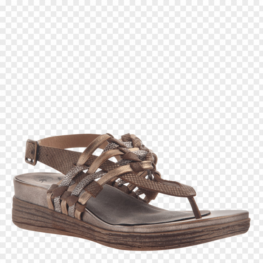Sandal Platform Shoe Wedge Slide PNG
