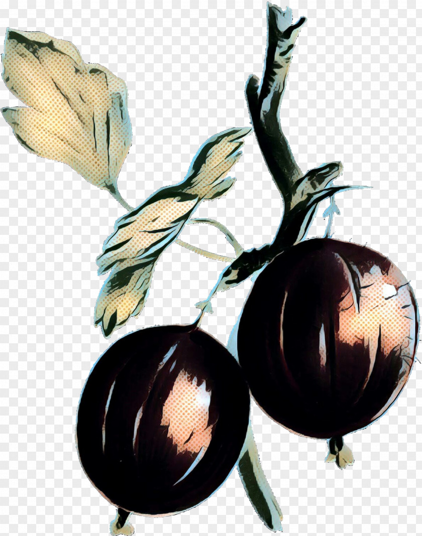 Allium Vegetable Cartoon PNG