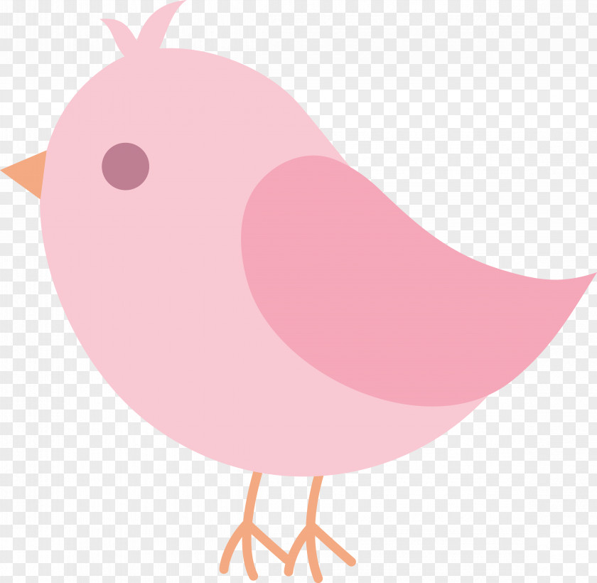 Birds Cliparts Free Bird Cuteness Infant Clip Art PNG