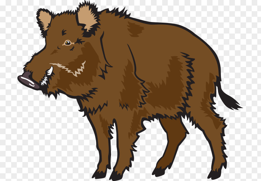 Boar Vector Material Wild Common Warthog Clip Art PNG