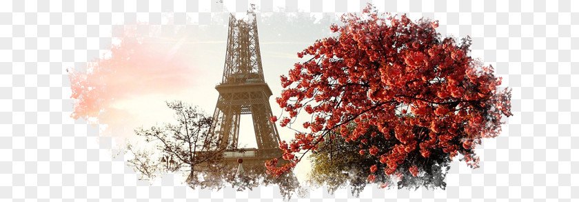 Eiffel Tower Passy Cemetery Android Wallpaper PNG