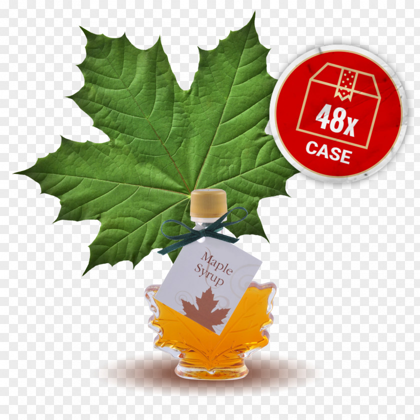 Maple Leaf Syrup Vegetable PNG
