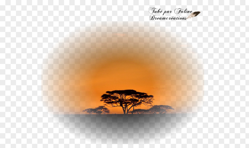 Sunset Dreams Création Graphique Savana Faline Desktop Wallpaper PSP PNG
