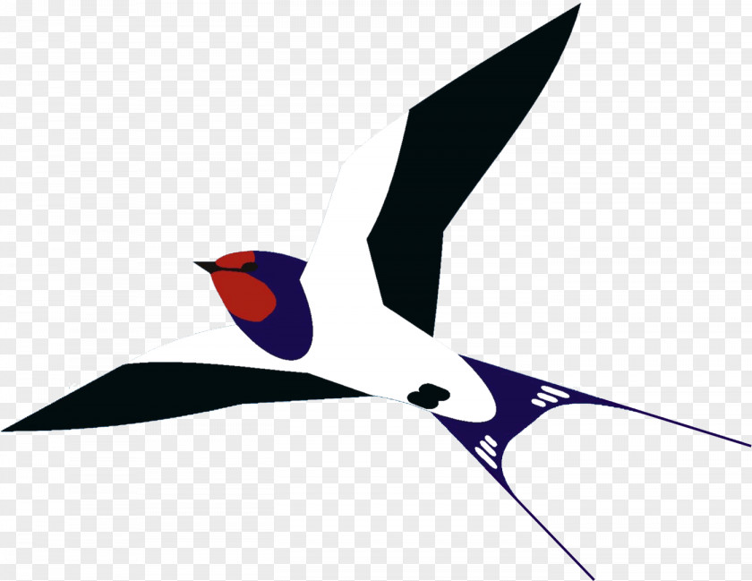 Bird Barn Swallow Beak Clip Art PNG