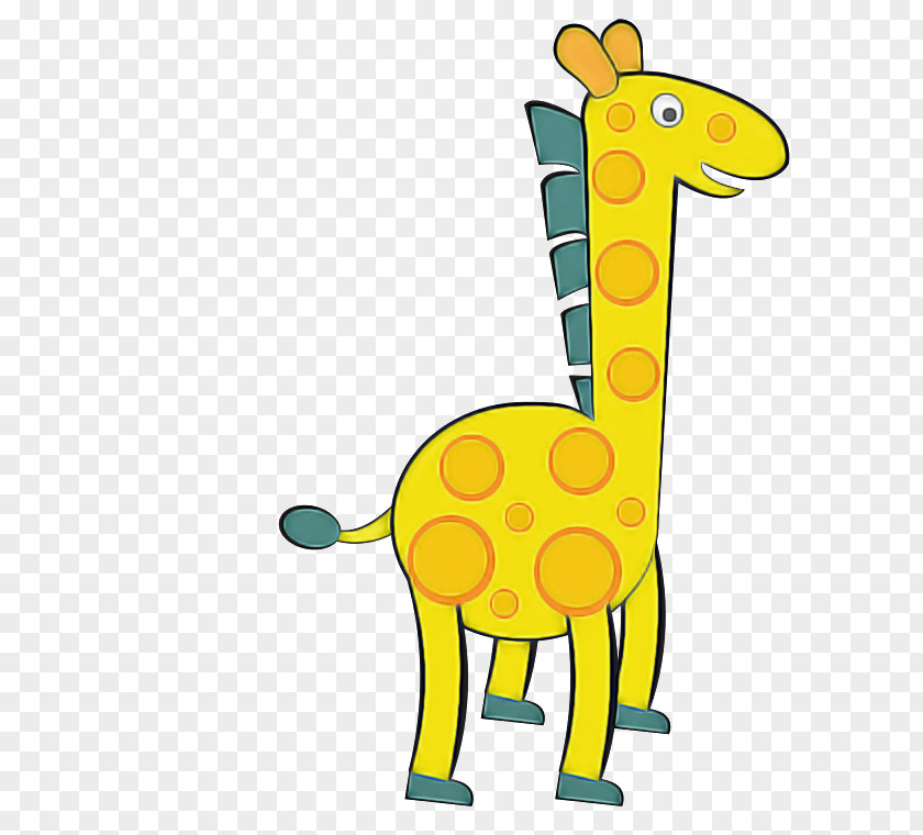 Giraffe Northern Drawing Camels Cartoon PNG