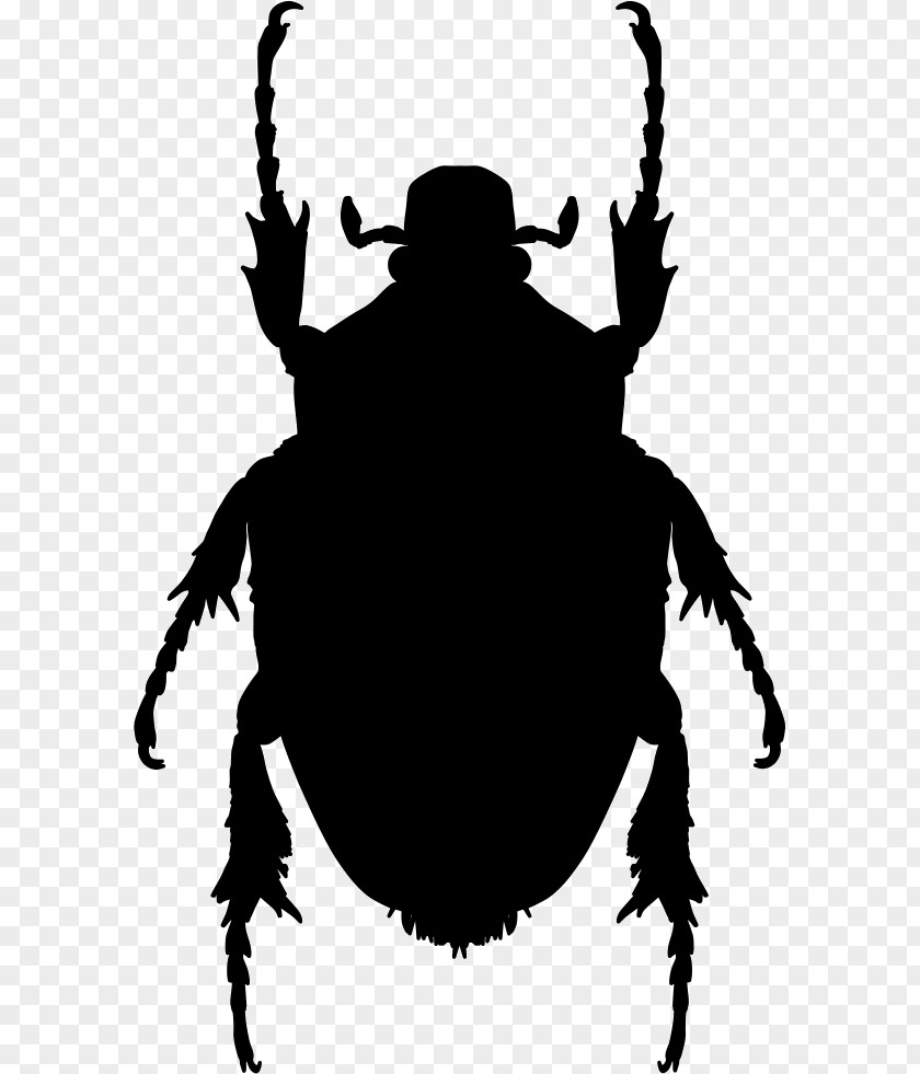 Insect Shape Mosquito Brown Marmorated Stink Bug Pest PNG