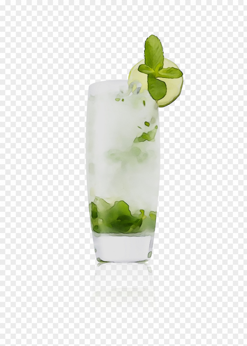 Mojito Cocktail Garnish Rickey Drink PNG