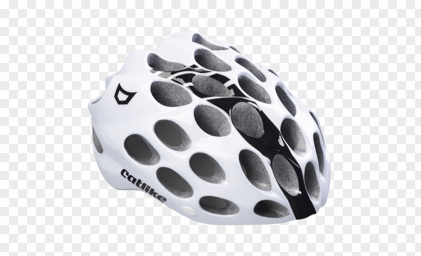 Motorcycle Helmets Bicycle Cycling PNG