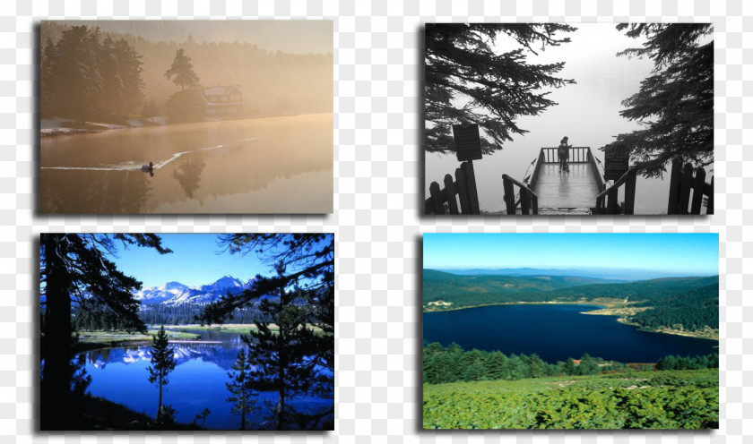 Painting Water Resources Ecosystem Desktop Wallpaper Picture Frames PNG