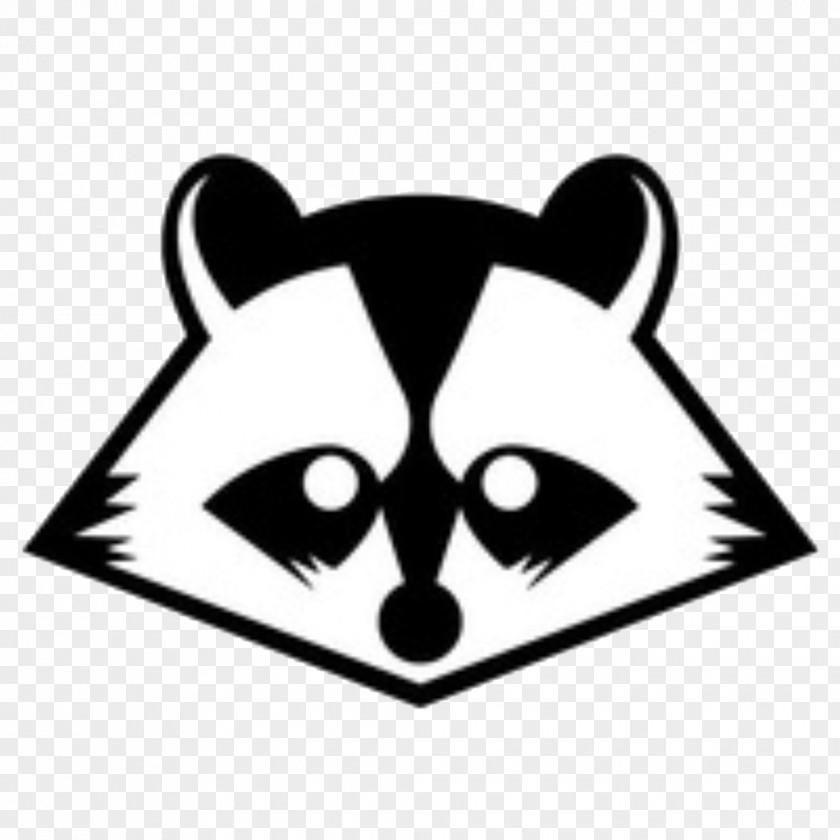 Youtube Raccoons YouTube Giant Panda White Website PNG