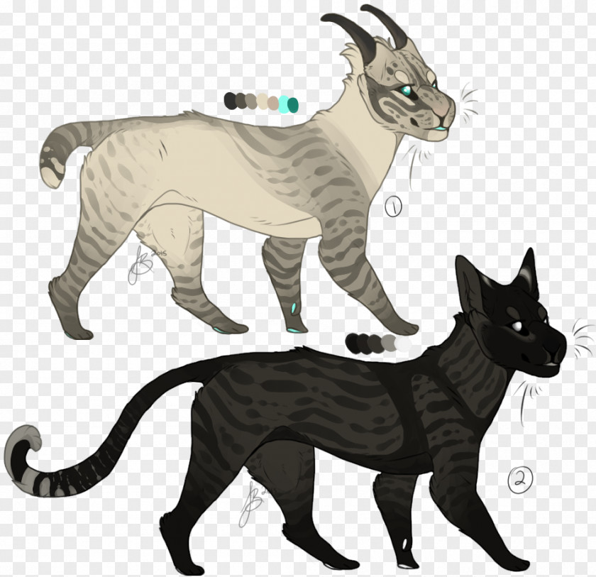 Cat Whiskers Tail Wildlife Character PNG