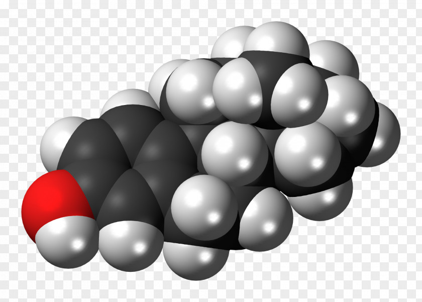 Progesterone Steroid Hormone Molecule Space-filling Model PNG