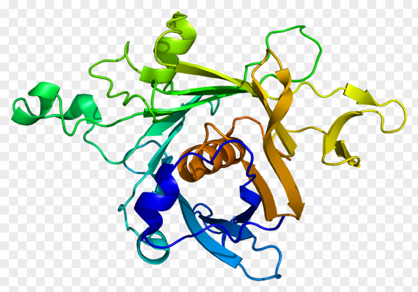 Tubby Protein Gene Cell Signaling PNG