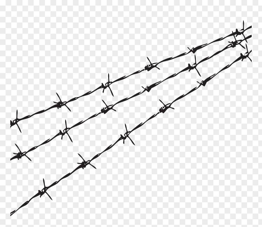 Barbwire Barbed Wire Fence Black And White Monochrome PNG
