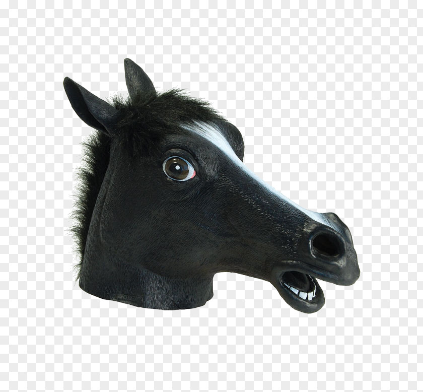 Black Horse Poodle Head Mask Animal Mustang PNG