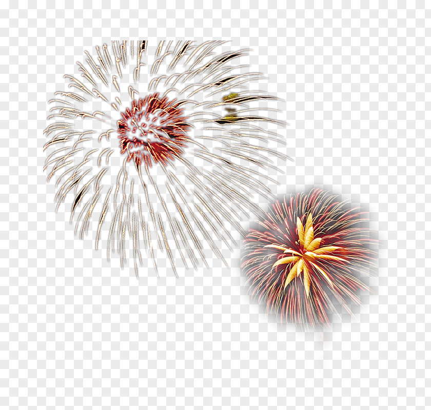 Creative Pull The Bloom Of Fireworks Free Firecracker PNG
