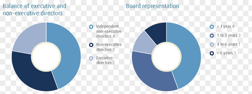 Directors Board Logo Brand Technology PNG