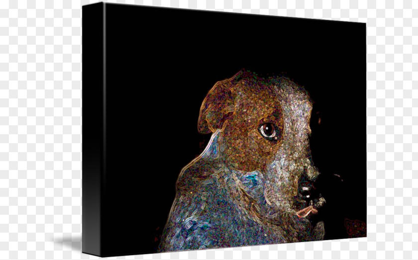 Dog Orcutt Gallery Wrap Canvas Baby Blue PNG